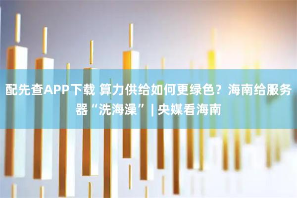 配先查APP下载 算力供给如何更绿色?海南给服务器“洗海澡” | 央媒看海南