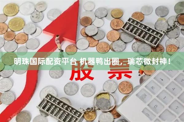 明珠国际配资平台 机器鸭出圈，瑞芯微封神！